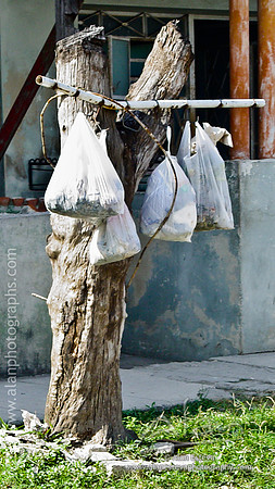 Arbol de desechos