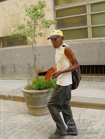 Vendo escobas