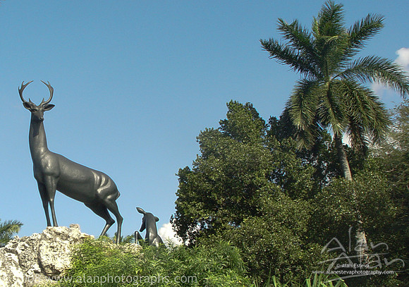Zoologico de 26